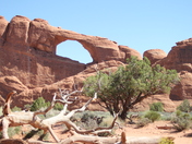 Arches National Park