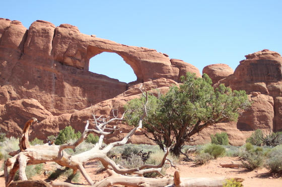 Arches National Park