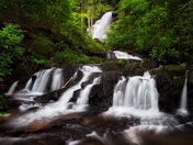 Smoky Mountains
