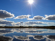 Shiawassee National Wildlife Refuge