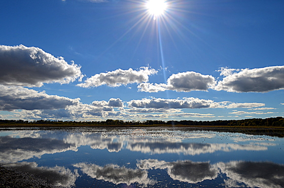 Shiawassee National Wildlife Refuge