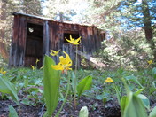 Beaverhead National Forest, MT