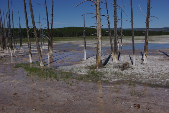 Yellowstone National Park