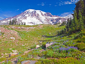 Mount Rainier National Park