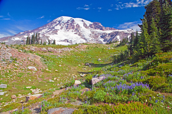 Mount Rainier National Park