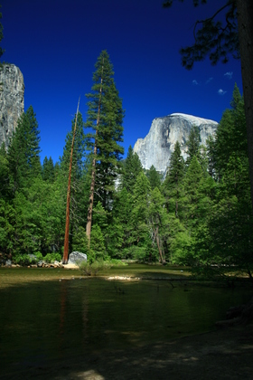 Yosemite National Park