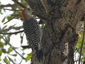 Everglades National Park
