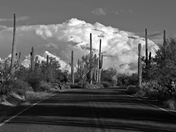 saguaro national park