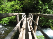 Willamette National Forest