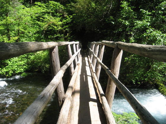 Willamette National Forest