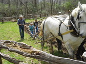 Cradle of Forestry