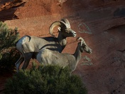 Arches National Park