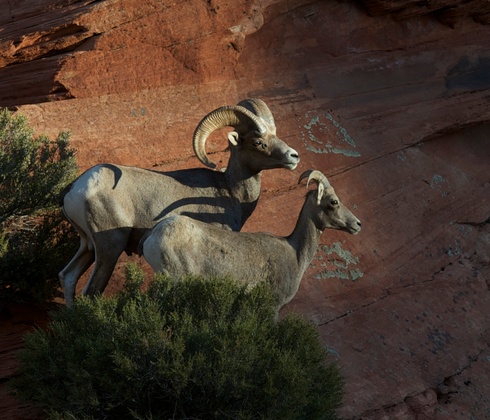 Arches National Park