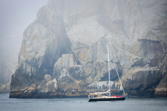 Kenai Fjords National Park