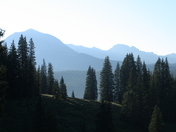 Uncompahgre National Forest