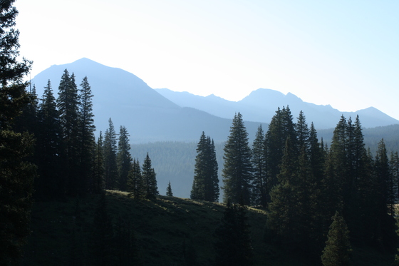 Uncompahgre National Forest