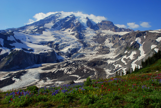 Mount Rainier National Park