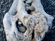 Olympic National Park