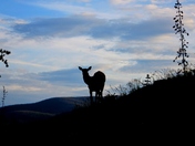Rocky Mountain National Park