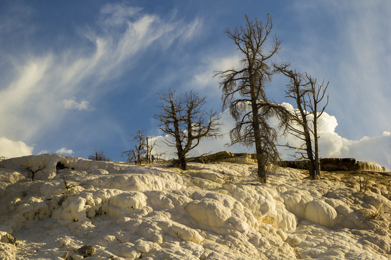 Yellowstone National Park