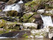 Shenandoah National Park