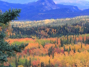 Denali National Park