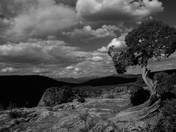 Black Canyon of the Gunnison National Park