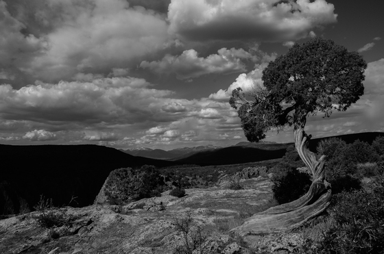 Black Canyon of the Gunnison National Park