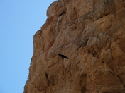 Big Bend National Park