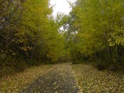 Peaceful Trail