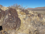 Three Rivers Petroglyph Site, new mexico