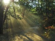 Cow Mountain Recreation Area