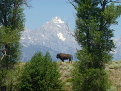 Grand Teton National Park
