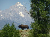 Grand Teton National Park