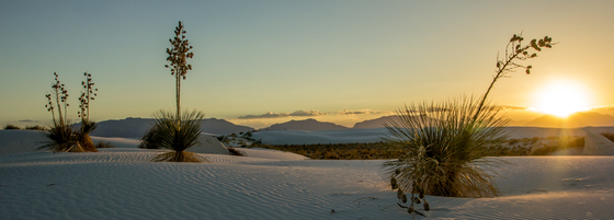 White Sands National Monument