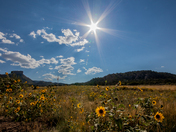 Mesa Verde National Park