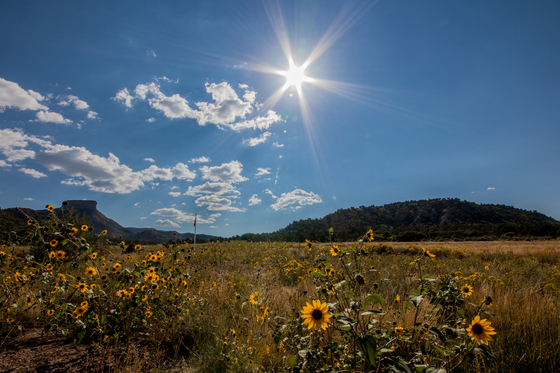 Mesa Verde National Park
