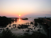 Bayou Sauvage National Wildlife Refuge
