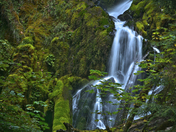 Olympic National Park