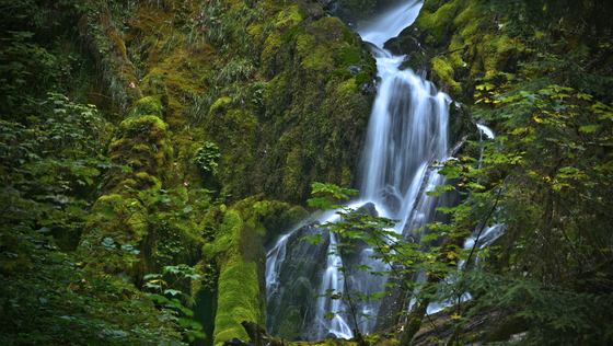 Olympic National Park