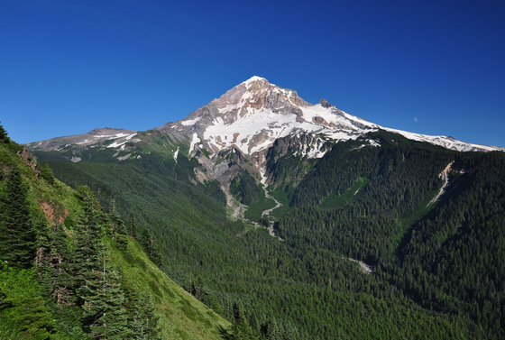 Mt. Hood National Forest