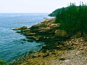 Acadia National Park 