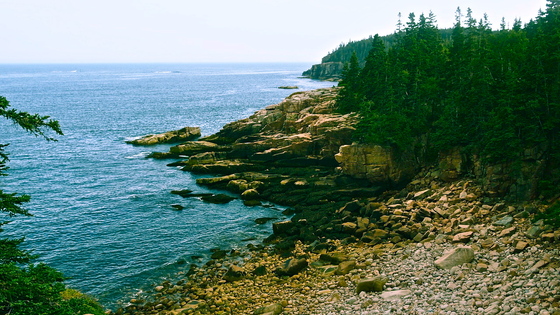 Acadia National Park 