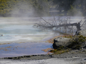 Yellowstone National Park