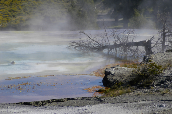 Yellowstone National Park