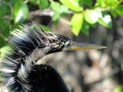 Everglades National Park