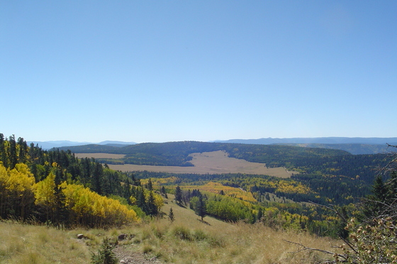 Escudilla Wilderness Area