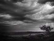 When The World Stops Turning