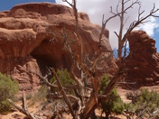 Arches National Park, Moab, UT
