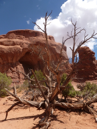 Arches National Park, Moab, UT